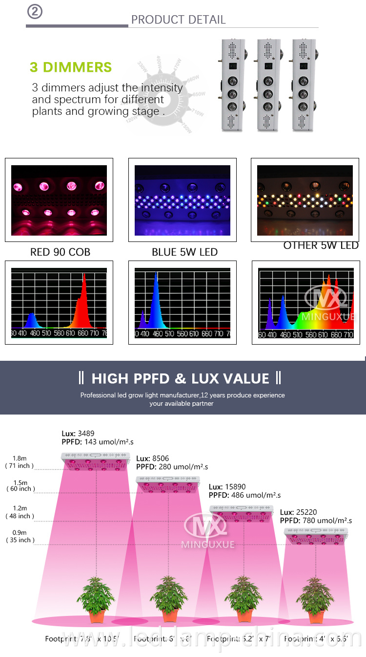 grow lights for indoor plants